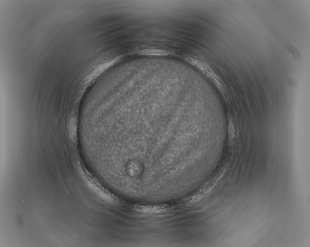 X0000111840533200908061255