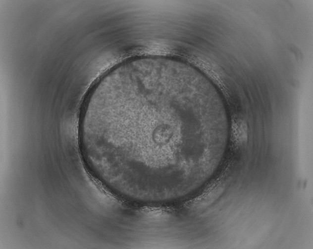 X0000111840534200908061255