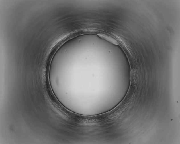 X0000111840535200908061255