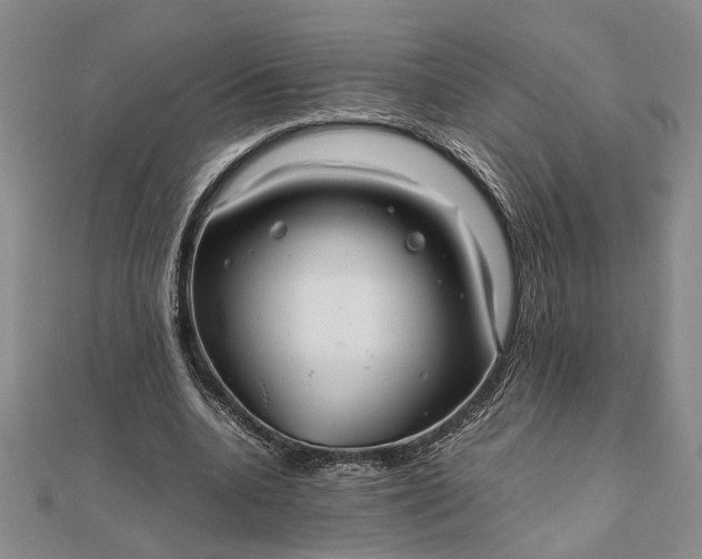 X0000111840536200908061255