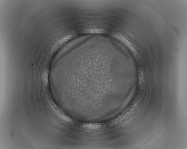 X0000111840537200908061255