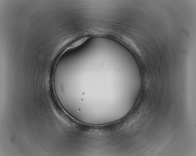 X0000111840538200908061255