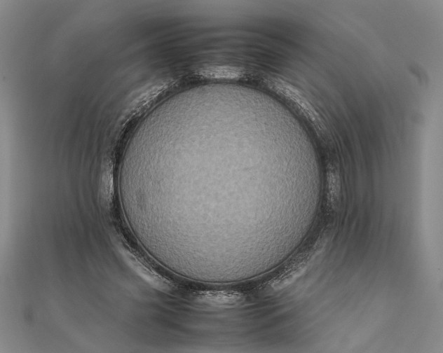 X0000111840541200908061255