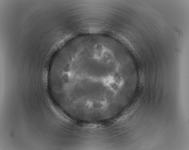 X0000111840542200908061255