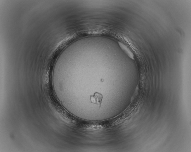 X0000111840543200908061255