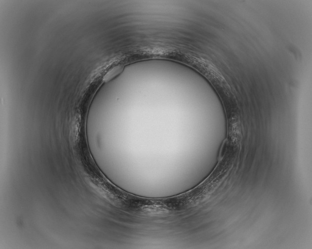 X0000111840544200908061255