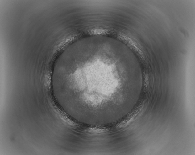 X0000111840545200908061255