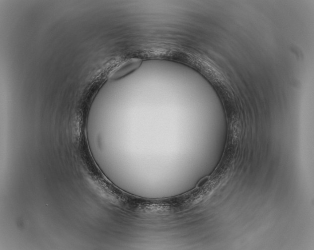 X0000111840546200908061255