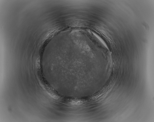 X0000111840547200908061255