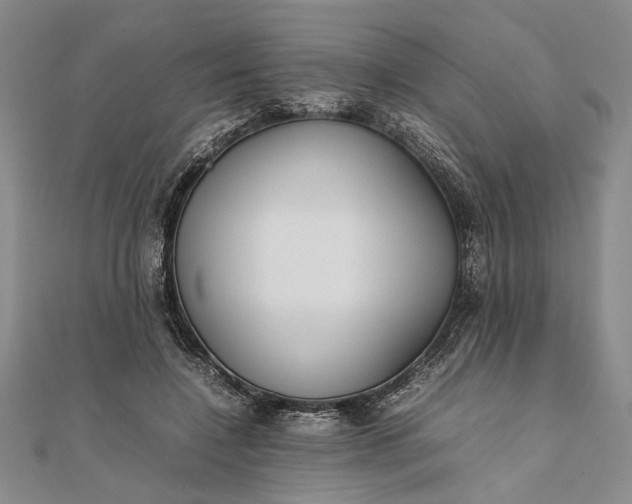 X0000111840548200908061255