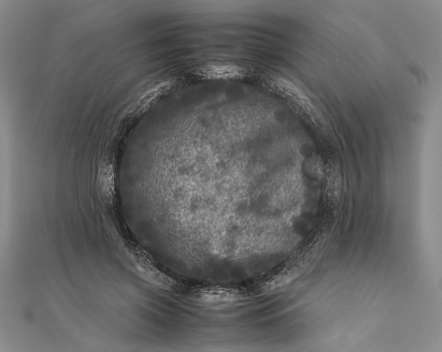 X0000111840549200908061255