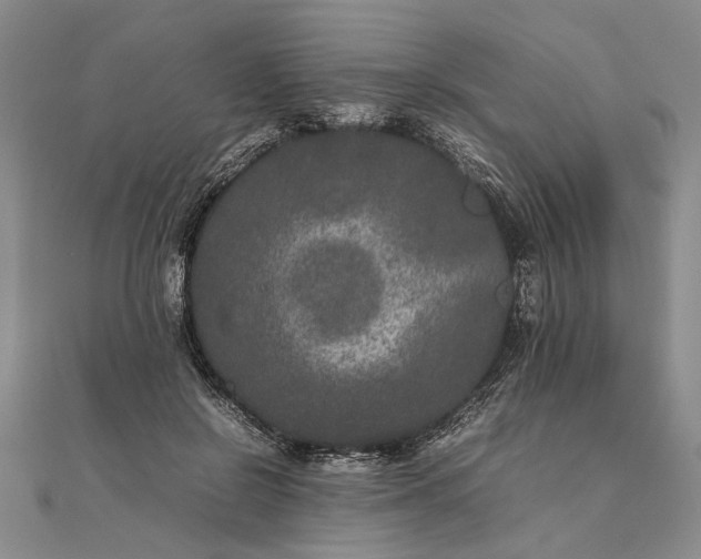 X0000111840550200908061255