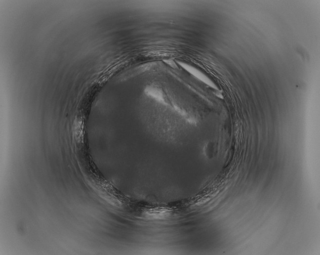 X0000111840551200908061255