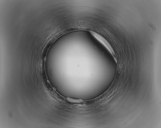 X0000111840552200908061255