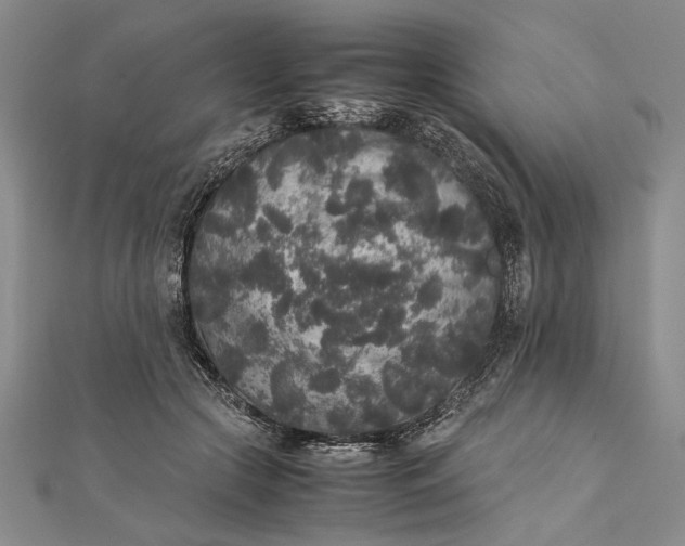 X0000111840553200908061255