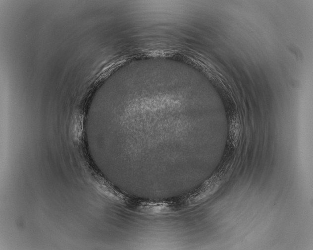 X0000111840554200908061255