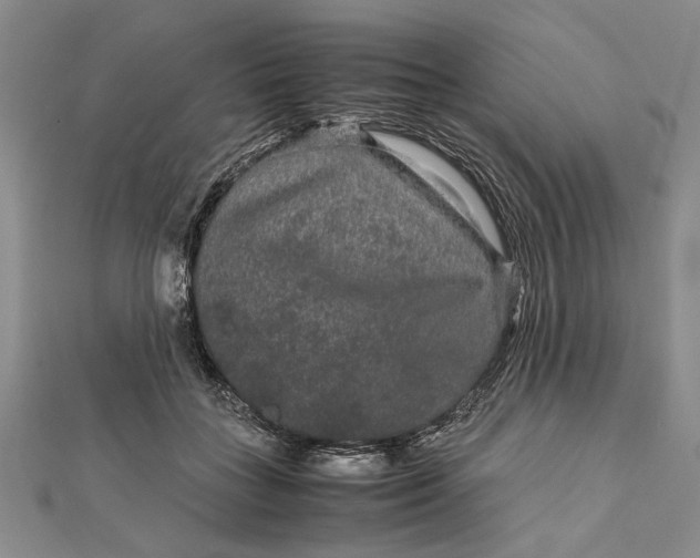 X0000111840555200908061255