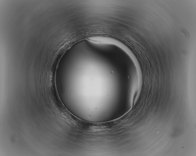 X0000111840556200908061255