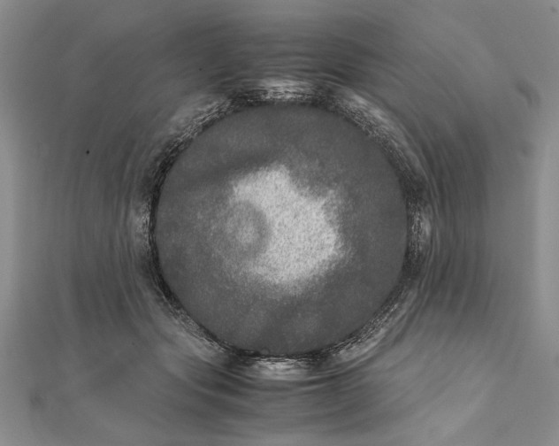 X0000111840557200908061255