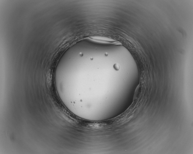 X0000111840558200908061256