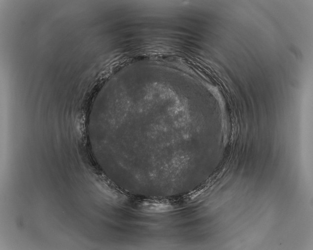 X0000111840559200908061256