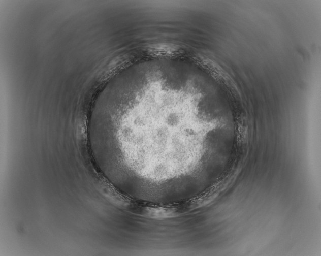 X0000111840561200908061256