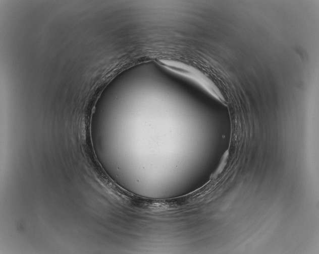 X0000111840562200908061256