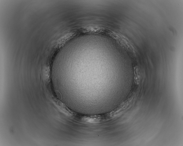 X0000111840563200908061256