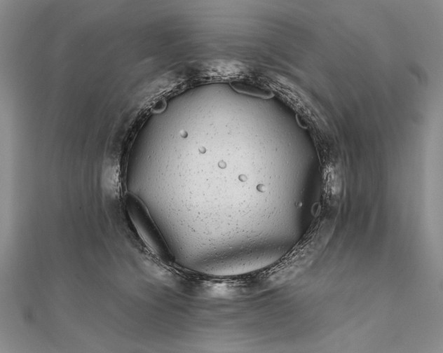 X0000111840564200908061256