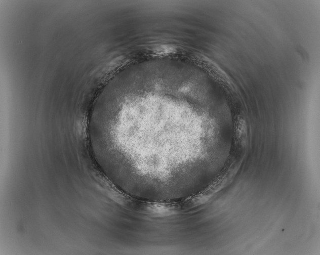 X0000111840565200908061256