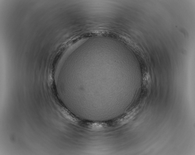 X0000111840566200908061256