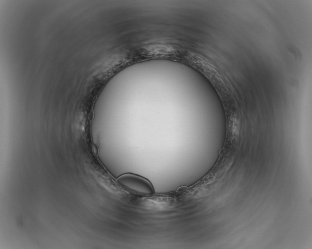 X0000111840567200908061256