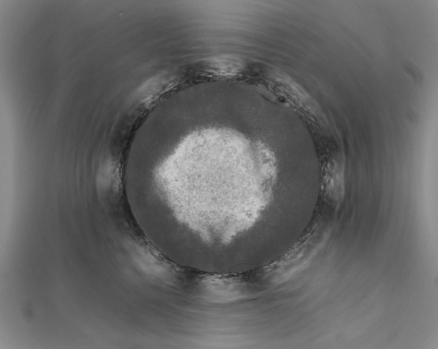 X0000111840568200908061256