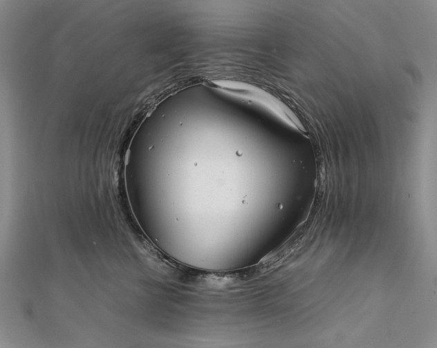 X0000111840570200908061256