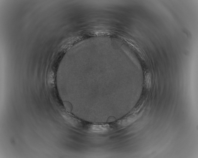 X0000111840571200908061256