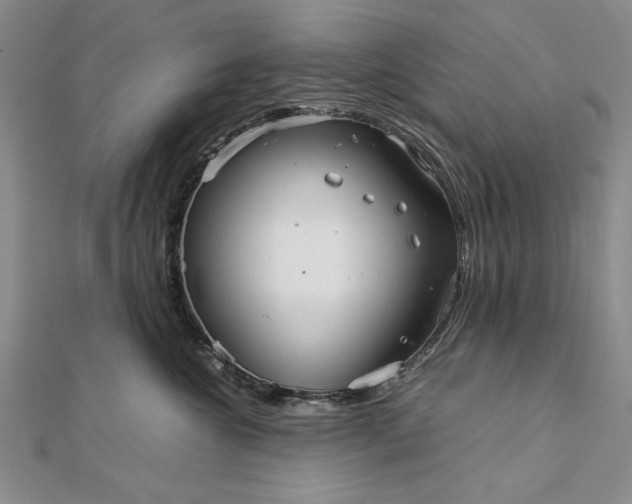 X0000111840572200908061256