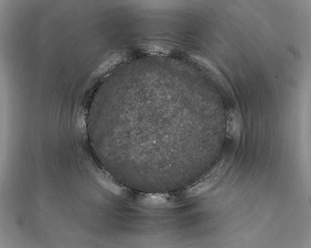 X0000111840573200908061256