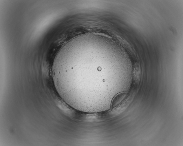 X0000111840574200908061256