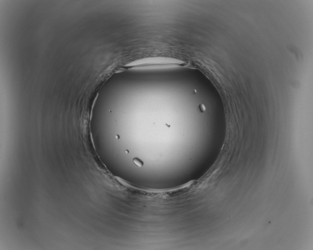 X0000111840576200908061256