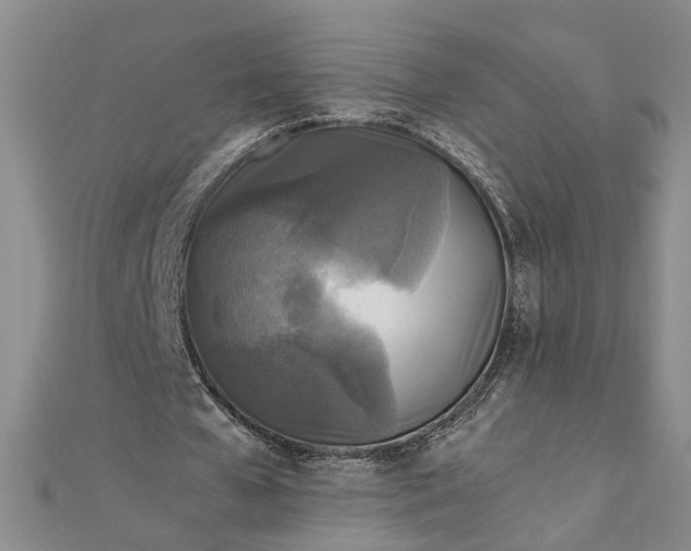 X0000111840577200908061255