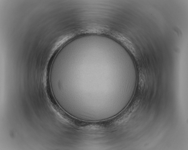 X0000111840578200908061255