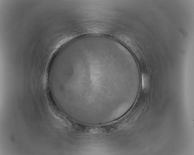 X0000111840579200908061255