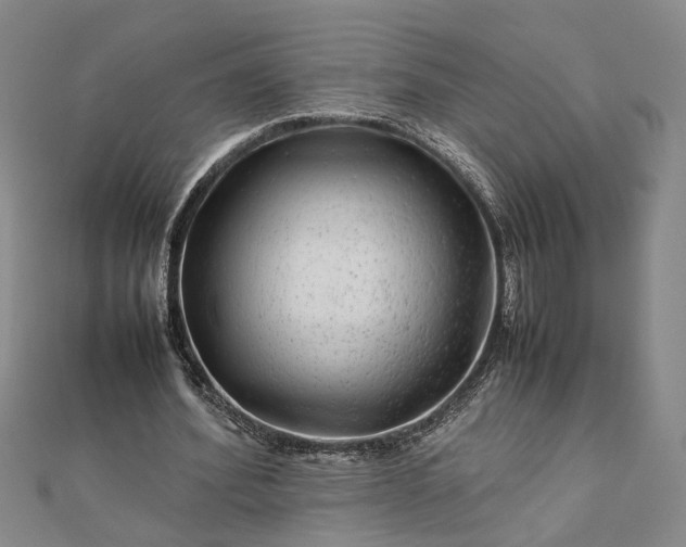 X0000111840580200908061255