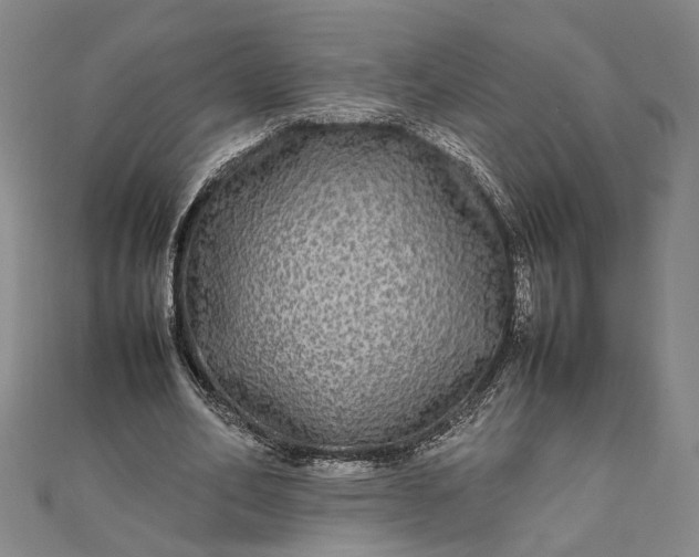 X0000111840582200908061255