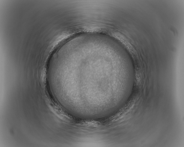 X0000111840583200908061255