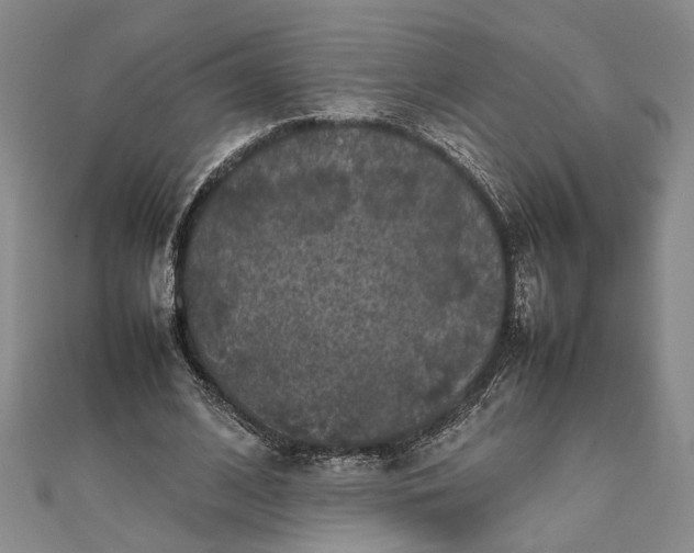 X0000111840584200908061255