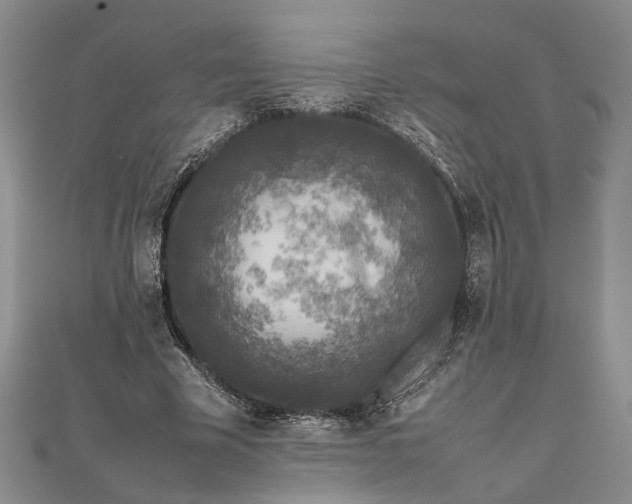 X0000111840585200908061255