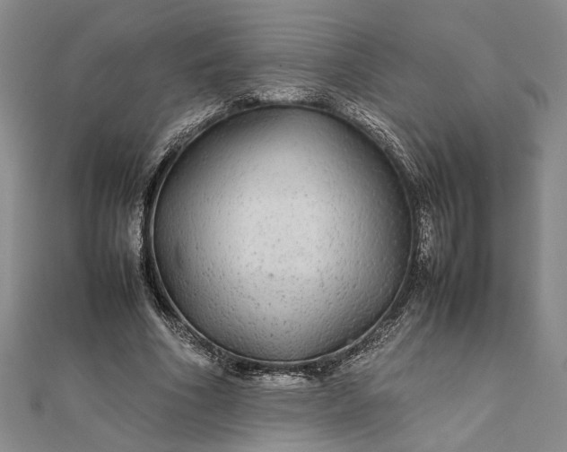 X0000111840586200908061255