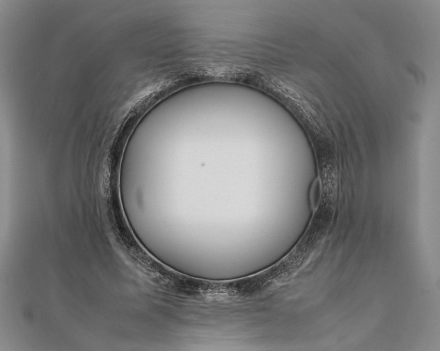 X0000111840587200908061255