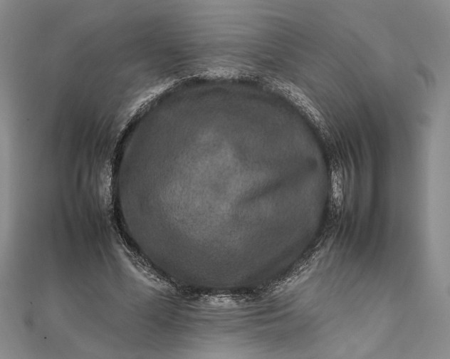 X0000111840588200908061255